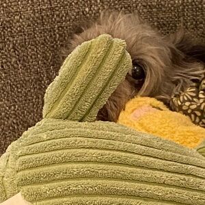 Buy 2 Get 1 Free on all items!!!